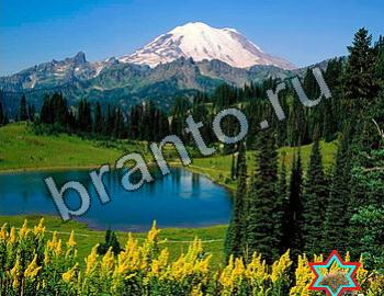 ответы на игру Найди животных Уровень 2469