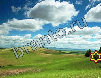 ответы на игру Найди животных Уровень 2470