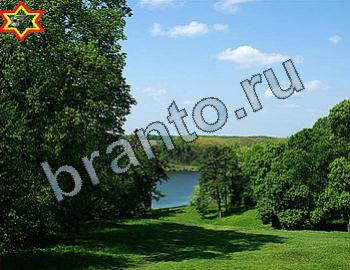 ответы на игру Найди животных Уровень 2472