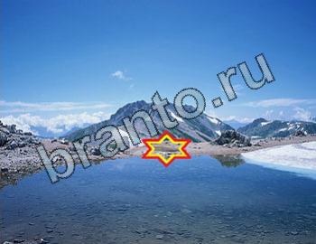 ответы на игру Найди животных Уровень 2474