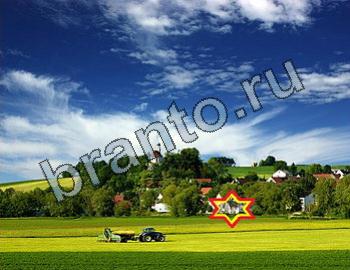 ответы на игру Найди животных Уровень 2475