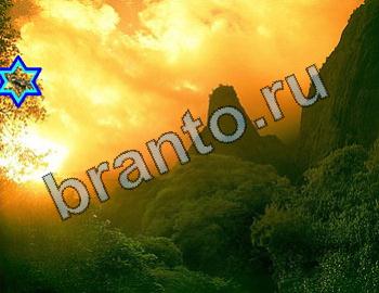 ответы на игру Найди животных Уровень 2476