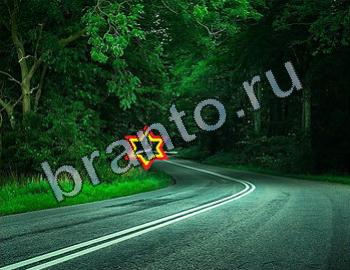 ответы на игру Найди животных Уровень 2477