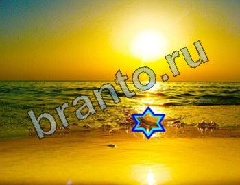 подсказки к игре Найди животных Уровень 2478