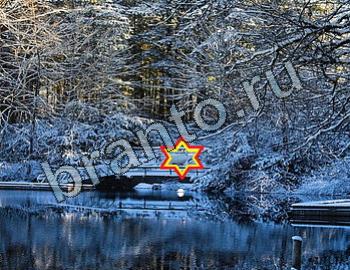 ответы на игру Найди животных Уровень 2479