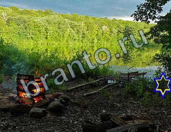 ответы на игру Найди животных Уровень 2482