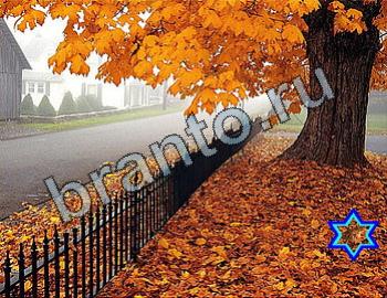 ответы к игре Найди животных Уровень 2483