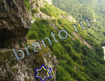 подсказки на игру Найди животных Уровень 2497