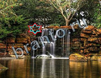 ответы на игру Найди животных одноклассники Уровень 2498