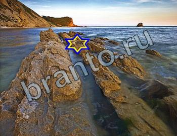 помощь на игру Найди животных Уровень 2499