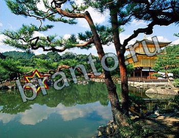 Найди животных игра ответы Уровень 2501