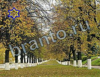 подсказки к игре Найди животных Уровень 2503