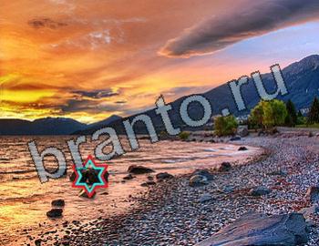 Найди животных решебник Уровень 2505