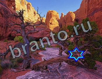 ответы на игру Найди животных Уровень 2509