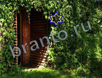 ответы на игру Найди животных Уровень 2512