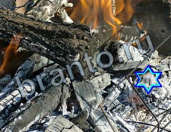 ответы на игру Найди животных Уровень 2514