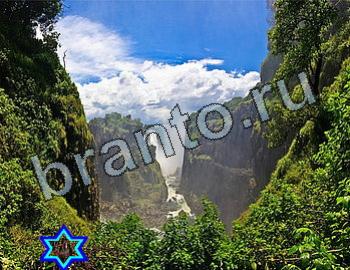 ответы на игру Найди животных Уровень 2515