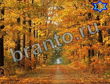 ответы на игру Найди животных Уровень 2516