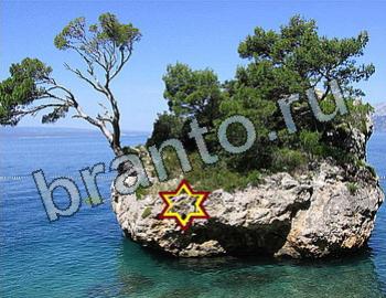 ответы на игру Найди животных Уровень 2517