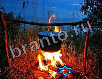 ответы на игру Найди животных Уровень 2521