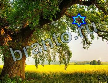 ответы на игру Найди животных Уровень 2523