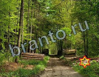 ответы на игру Найди животных Уровень 2525