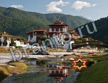 ответы на игру Найди животных Уровень 2526