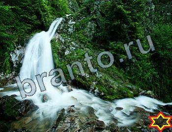 ответы на игру Найди животных Уровень 2527