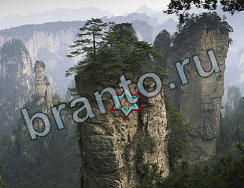 ответы на игру Найди животных Уровень 2529