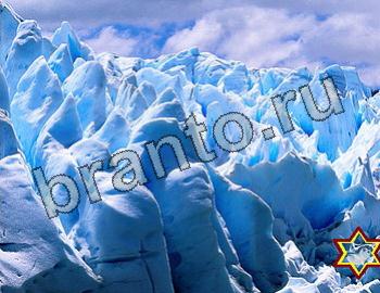 ответы на игру Найди животных Уровень 2530