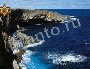 Найди животных ответы на игру Уровень 2531