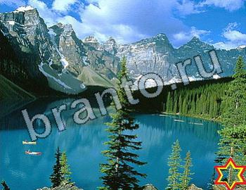 ответы на игру Найди животных Уровень 2532