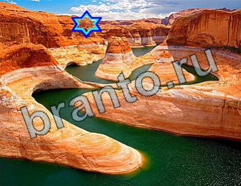 ответы к игре Найди животных Уровень 2533