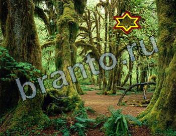 ответы на игру Найди животных Уровень 2534