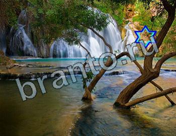 ответы на игру Найди животных Уровень 2536