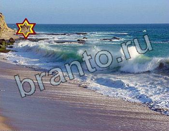 ответы на игру Найди животных Уровень 2538