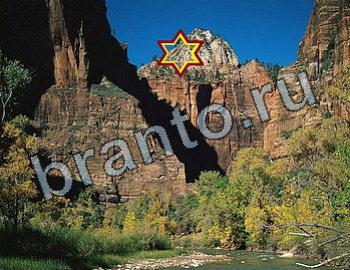 Найди животных Ответы Уровень 2539