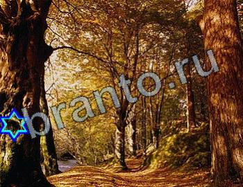 ответы на игру Найди животных Уровень 2542