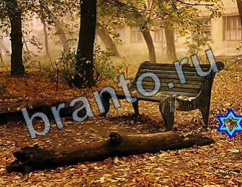 ответы на игру Найди животное Уровень 2545