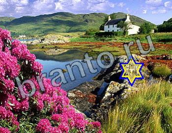 сборник ответов к игре Найди животных Уровень 2546