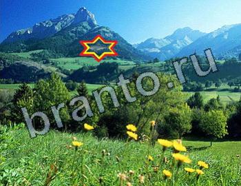 подсказки на игру Найди животных Уровень 2547