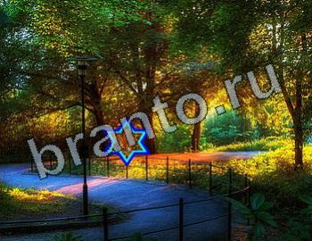 ответы на игру Найди животных одноклассники Уровень 2548