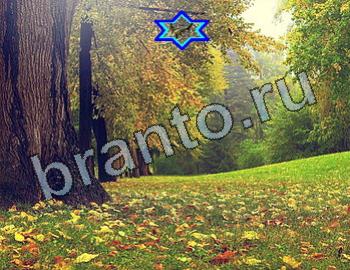 помощь на игру Найди животных Уровень 2549