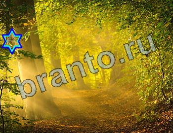 ответы на игру Найди животных Уровень 2552