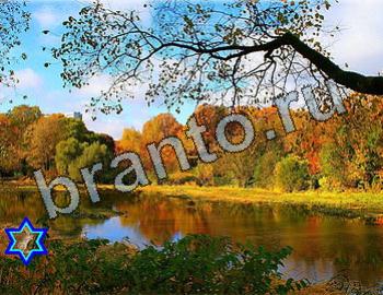 ответы на игру Найди животных Уровень 2554