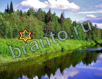 ответы на игру Найди животных Уровень 2556