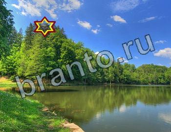 ответы на игру Найди животных Уровень 2557