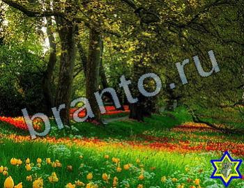 ответы на игру Найди животных Уровень 2559