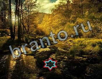 ответы на игру Найди животных Уровень 2562