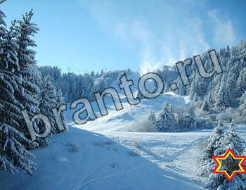 ответы на игру Найди животных Уровень 2563